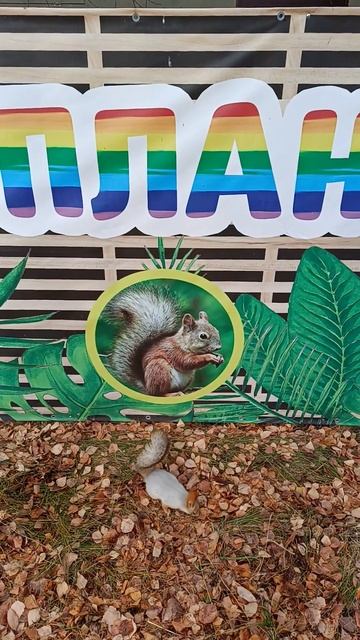 Есть ли у вас план, мистер Фикс? смотреть онлайн