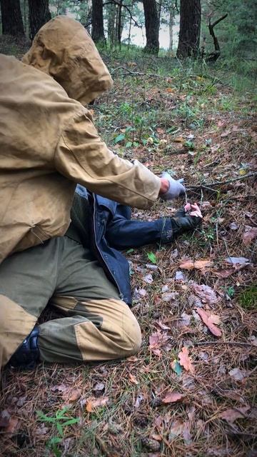 Сталкер граната #stalker #stalker2 #stalkershorts #short #сталкер #зона смотреть онлайн