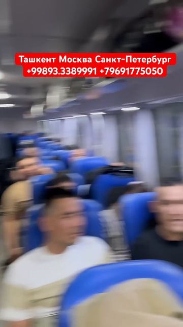 Ташкент Санкт-Петербург автобус #ташкент #санктпетерб смотреть онлайн