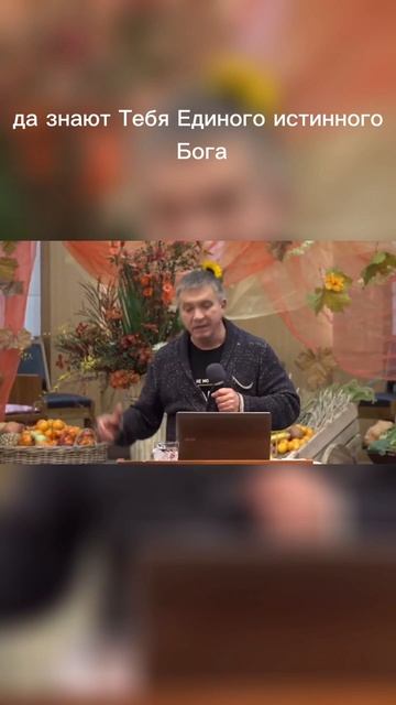 Что есть плод? #shorts #сергейгаврилов #церковьбожийпоко? смотреть онлайн