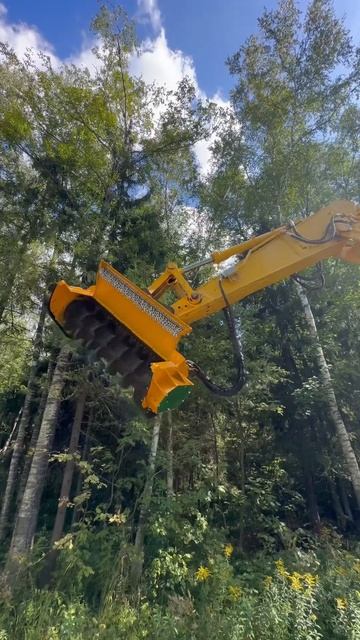 Взлетая выше ели … смотреть онлайн