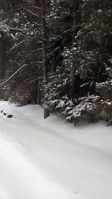 Павловский парк. Пятничный кросс 7. Круговой обзор Кру? смотреть онлайн