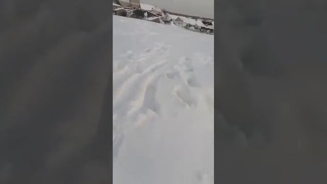 Ужасы средь белого дня!😮😨😬 смотреть онлайн