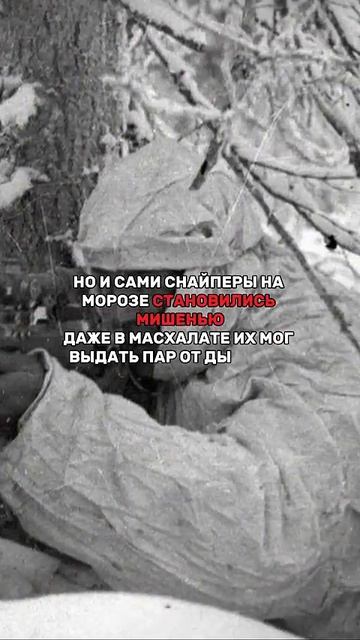 ЗАЧЕМ НАШИ СНАЙПЕРЫ ЕЛИ СНЕГ?!😰 #история #ссср #факты #? смотреть онлайн