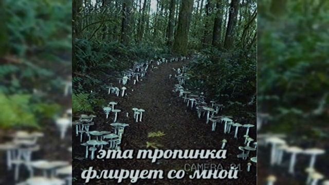 Поворот не туда [2 раунд 18 независимый Баттл Hip-hop.ru]