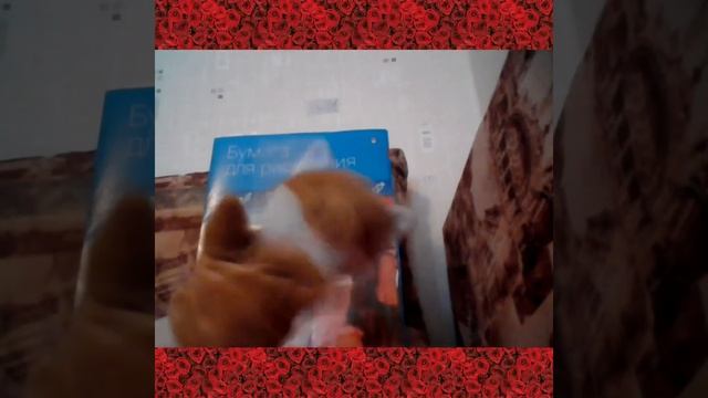 Всем привет и видео не уместилось читать описание смотреть онлайн