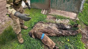 Штурм позиций ВСУ СВО №75