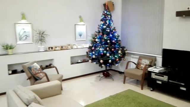 Ёлки - иголки, скоро Новый Год! смотреть онлайн