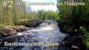 Беломорская (Северная) Шуя . 2024 .Сплав по реке Карелии в июне.