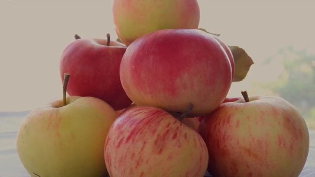 истинно добрые люди не ожидают себе награды за свои до