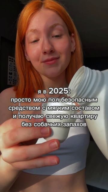 #арт на средство #217340014#чихуахуа#собака#уборка смотреть онлайн