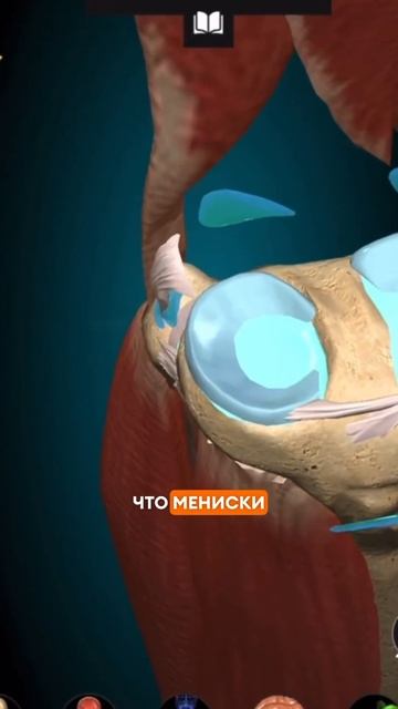 Если ты #травмировал #мениск , есть два пути. Читай опис смотреть онлайн