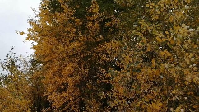 Вдоль дороги... смотреть онлайн