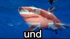 «ПОН» на разных языках