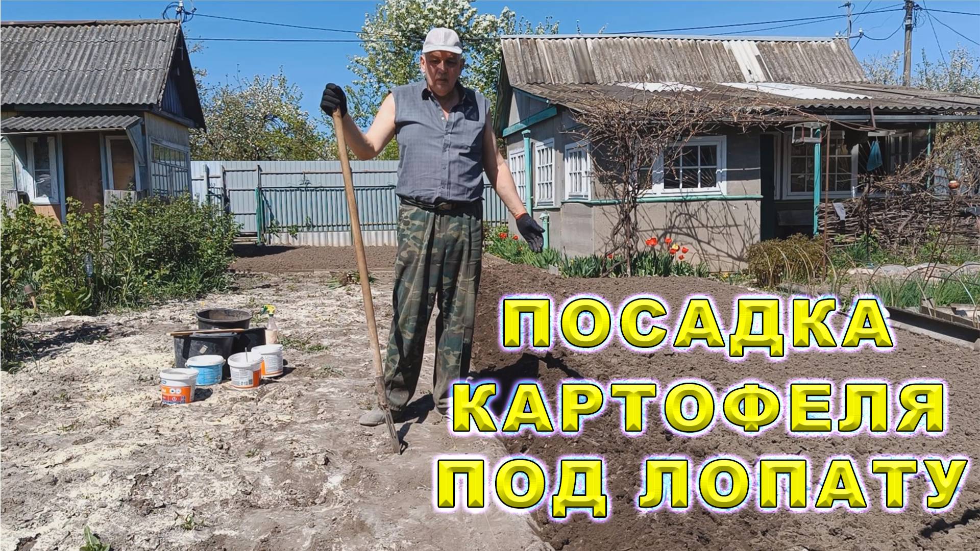 Посадка картофеля под лопату. Самый простой способ посадки картошки Какое удобрение положить в лунку смотреть онлайн