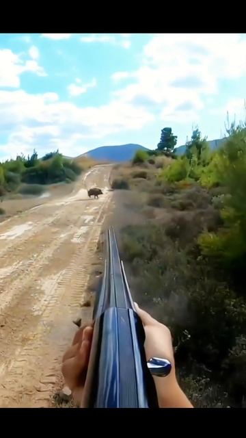 может быть лучший снимок охоты на дикого кабана в Яре#h смотреть онлайн