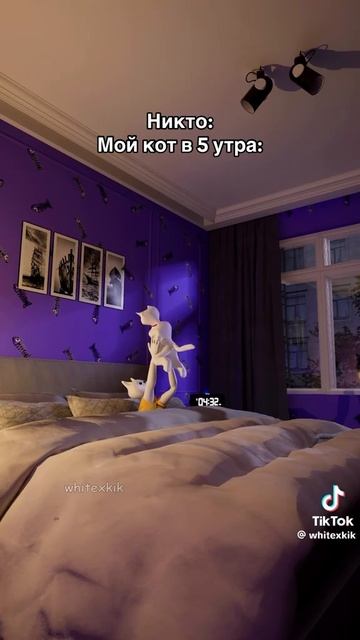 У меня есть такой план смотреть онлайн