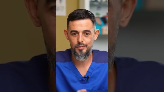 Какой эффект от ЕЖОВИКА гребенчатого? #грибы #ежовик #з смотреть онлайн