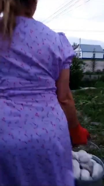 #свойдворлюблю #садогород   посадила Тамарикс