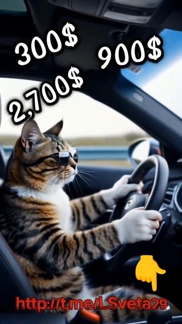 Автобус, где есть возможность выйти на достойный уров? смотреть онлайн