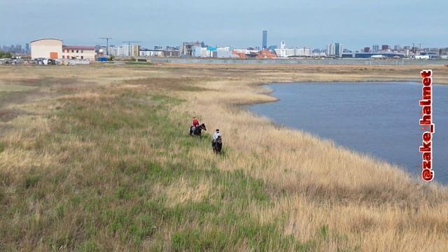 Что может быть лучше коня...ну может быть его сьесть! смотреть онлайн
