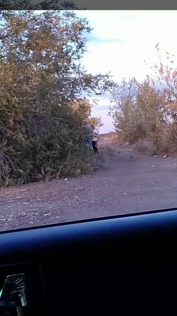 ночная сборка боярышника, великий комбинатор бросил в смотреть онлайн