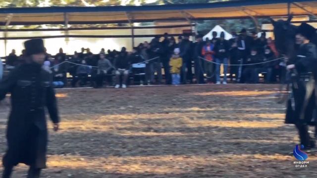 Карачаевская порода лошадей смотреть онлайн