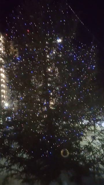 Пермь новогодняя! Видеообзор новогодних елей! С насту? смотреть онлайн