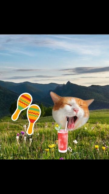 много спала много ела видео моё смотреть онлайн