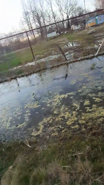 вот такие болота есть в ст.Петровской,хорошая ст. но вн смотреть онлайн