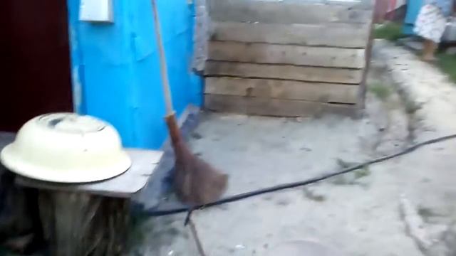 Собака полевает огород приколы #1 смотреть онлайн