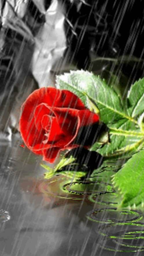 Рано или ... смотреть онлайн