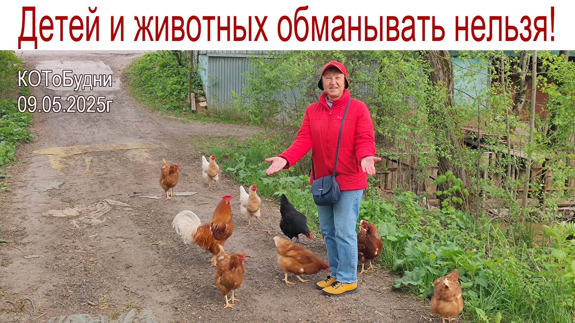 Вот моя деревня - вот мой дом родной... КОТоБудни от 09.05.2025г. смотреть онлайн