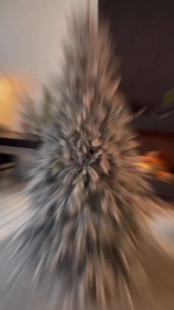 😍Заснеженная красавица. Искусственная ель corsica. Боль? смотреть онлайн