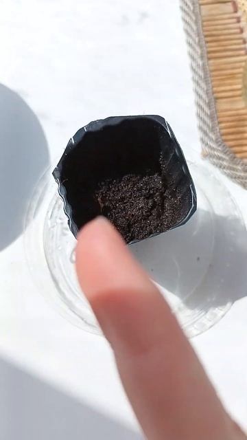 Сажание огурцов в апреле месяце🥒 смотреть онлайн