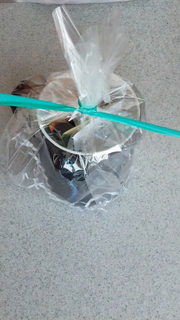 Кружка хамелеон Беззубик Синий Вспыш: отправка в Усть-Кут. Упаковка чашки Как приручить дракона