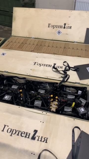 ГОРТЕНЗИЯ | Большая партия 10" и 7" fpv-дронов! #fpv #дрон #ро? смотреть онлайн