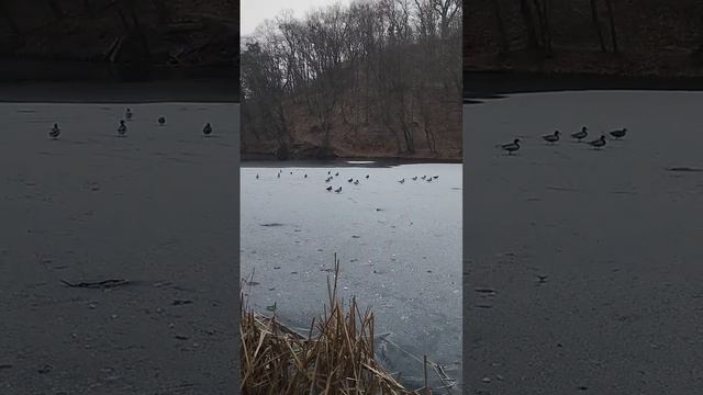 "У каждого из нас на свете есть Места, куда приходим мы смотреть онлайн