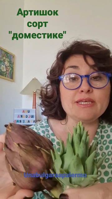 Domestichicchie или артешок сорт "доместика" #palermo #travel #сицили? смотреть онлайн