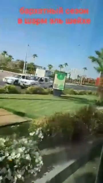 бархатный сезон в шарм эль шейхе. sharm el sheyx смотреть онлайн