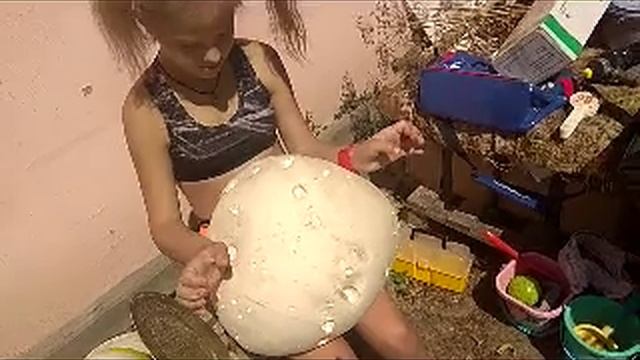 дождевик 21.08.2024