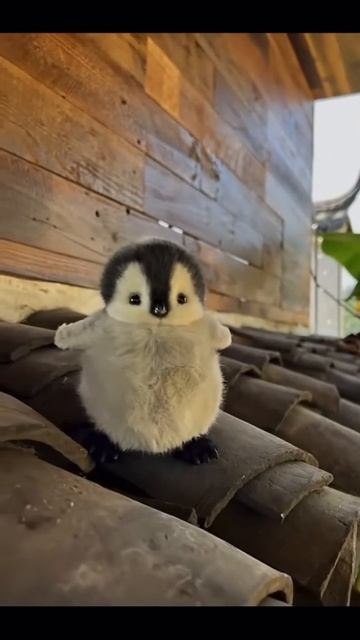 Самый милый пингвин ставьте много лайков и подписывай смотреть онлайн