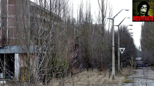 Код города 4499. Страшные истории на ночь 🫣🫣🫣 смотреть онлайн