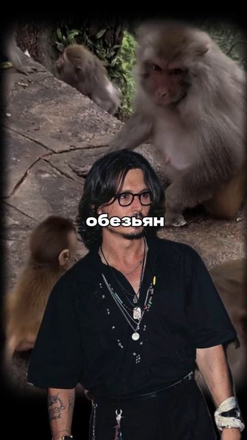 Дыхание ртом - вредно? #внешность #луксмаксинг