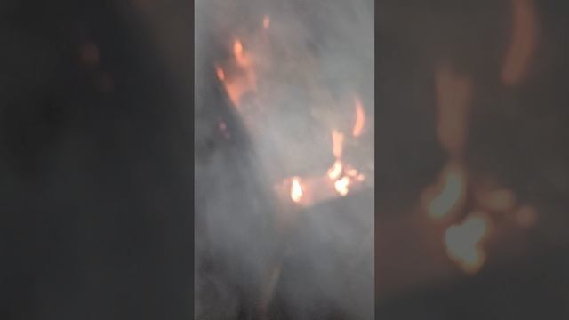 УСТРОИЛИ ДЫМОВУХУ! СПАСАЕМ НАШ САД ОТ МОРОЗА!!! смотреть онлайн