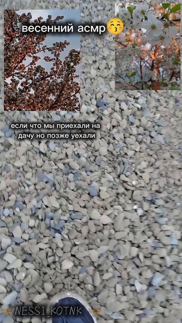 ||19:24|| асмр 😚 конечно короткий но мне нрав🥰🦋 #асмр #fyr #цветы #камниасмр🥰🦋 смотреть онлайн