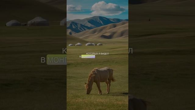 Почему быть зомби хорошо, а конспирологом плохо? #sorts #р смотреть онлайн