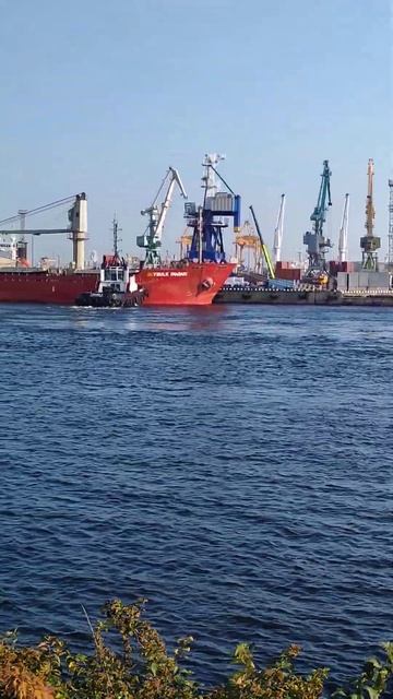 Морской порт Санкт-Петербурга смотреть онлайн