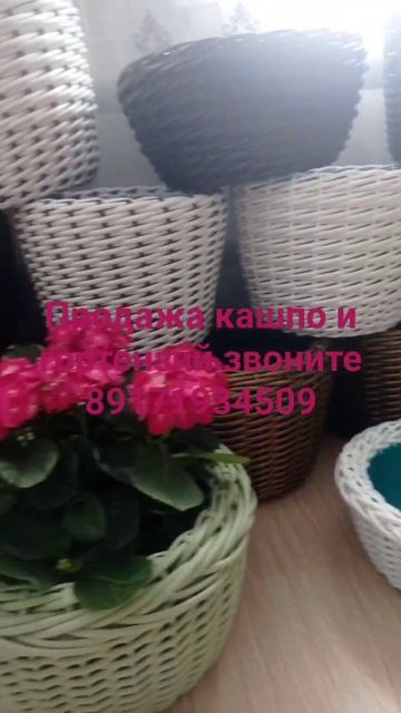 сезон открыт смотреть онлайн