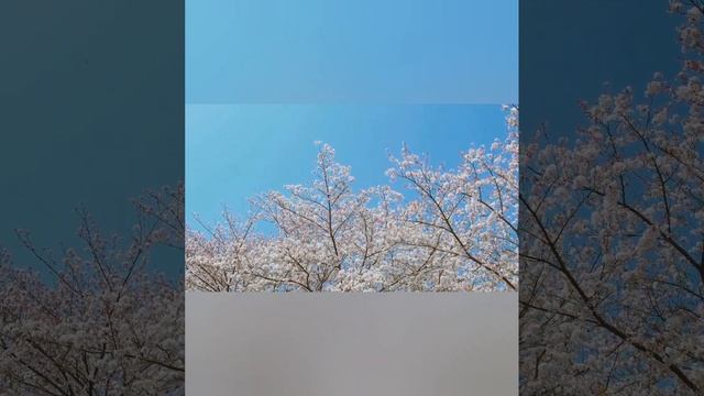 много видео выкладываю по тому что есть свободное вре? смотреть онлайн